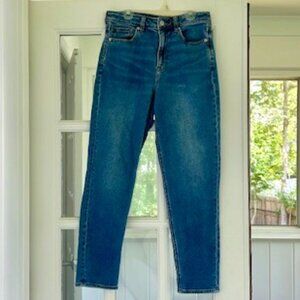 American Eagle Mom Jean stretch